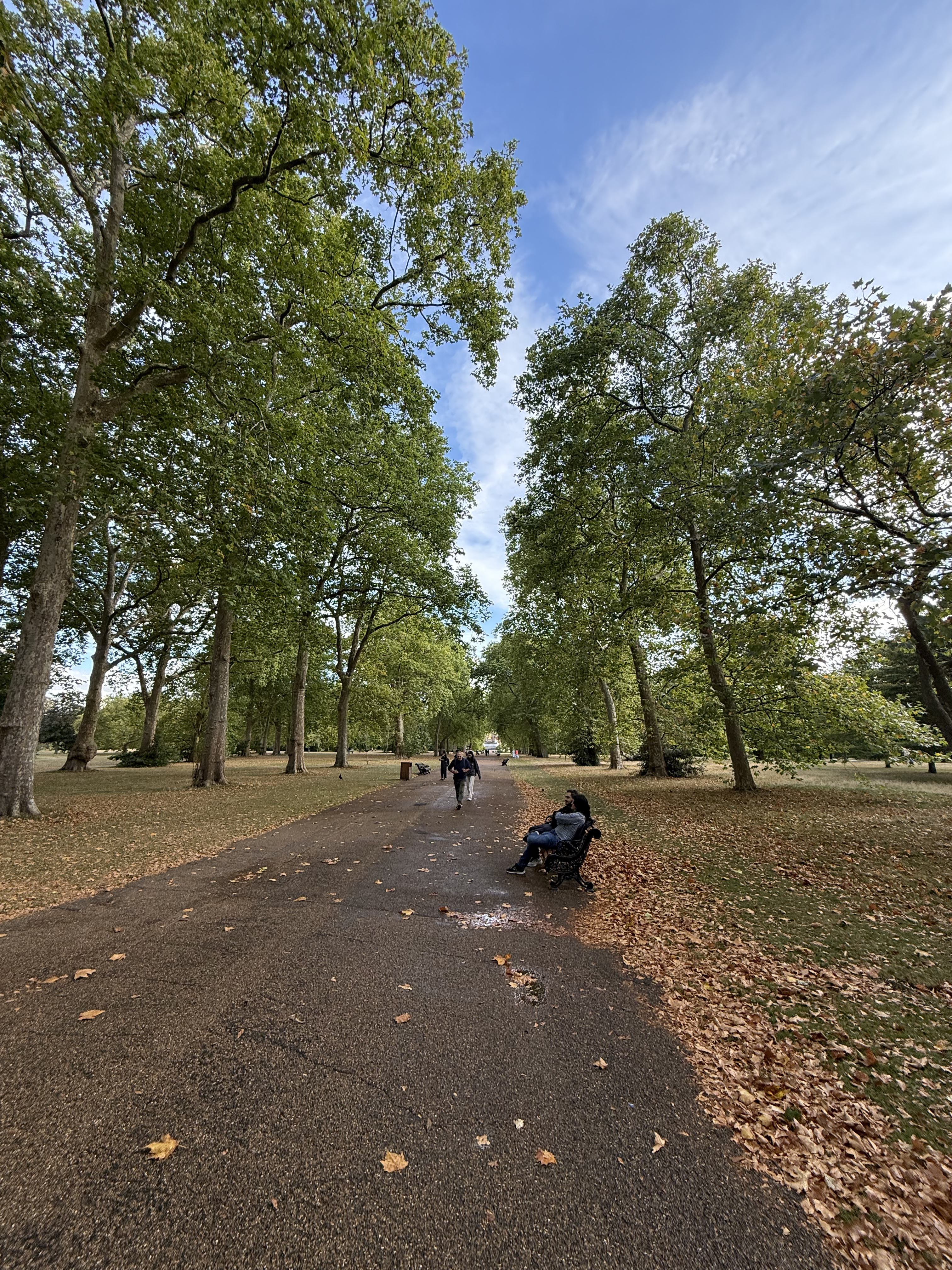 Hyde park over view