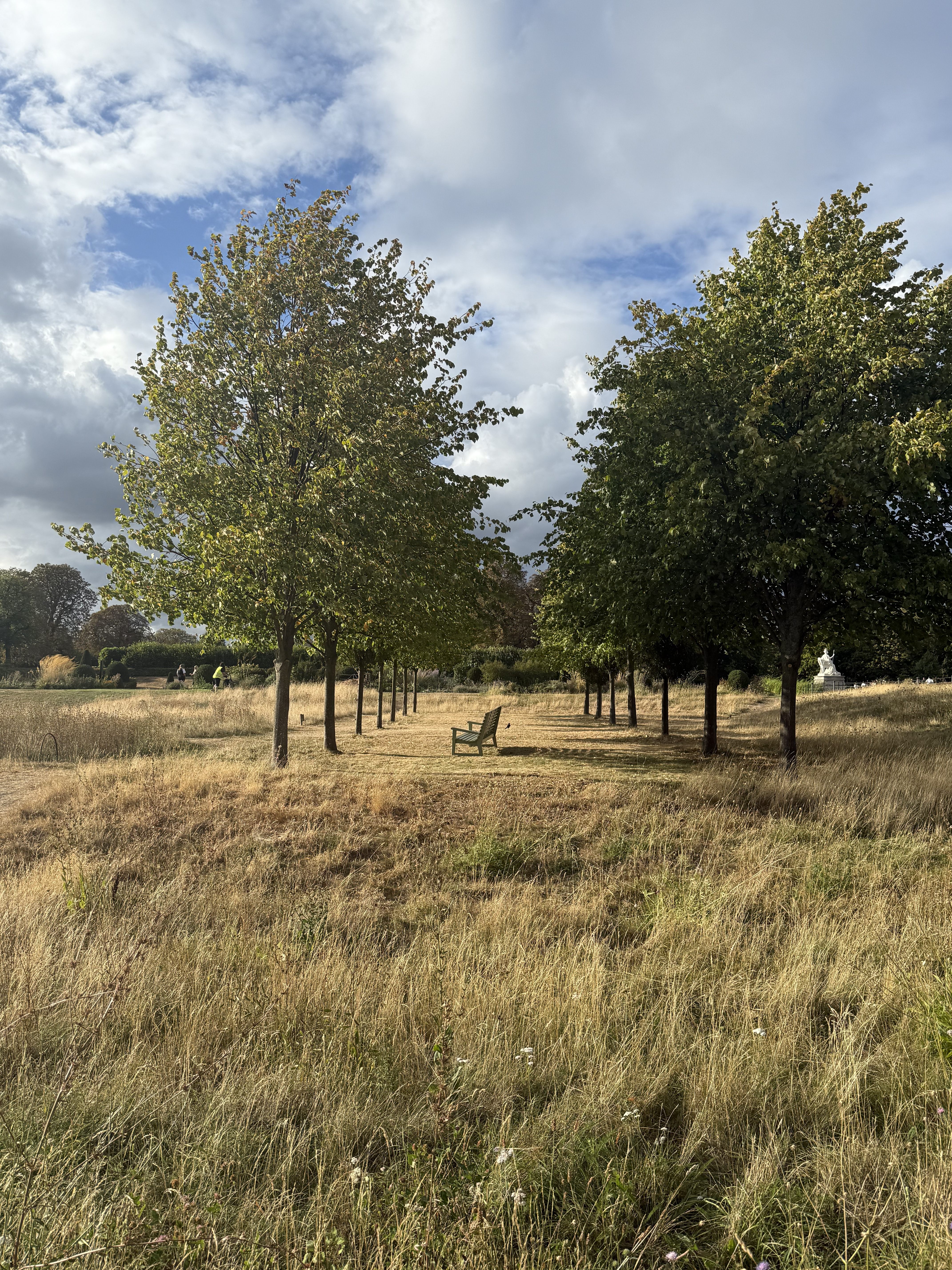 Hyde park over view