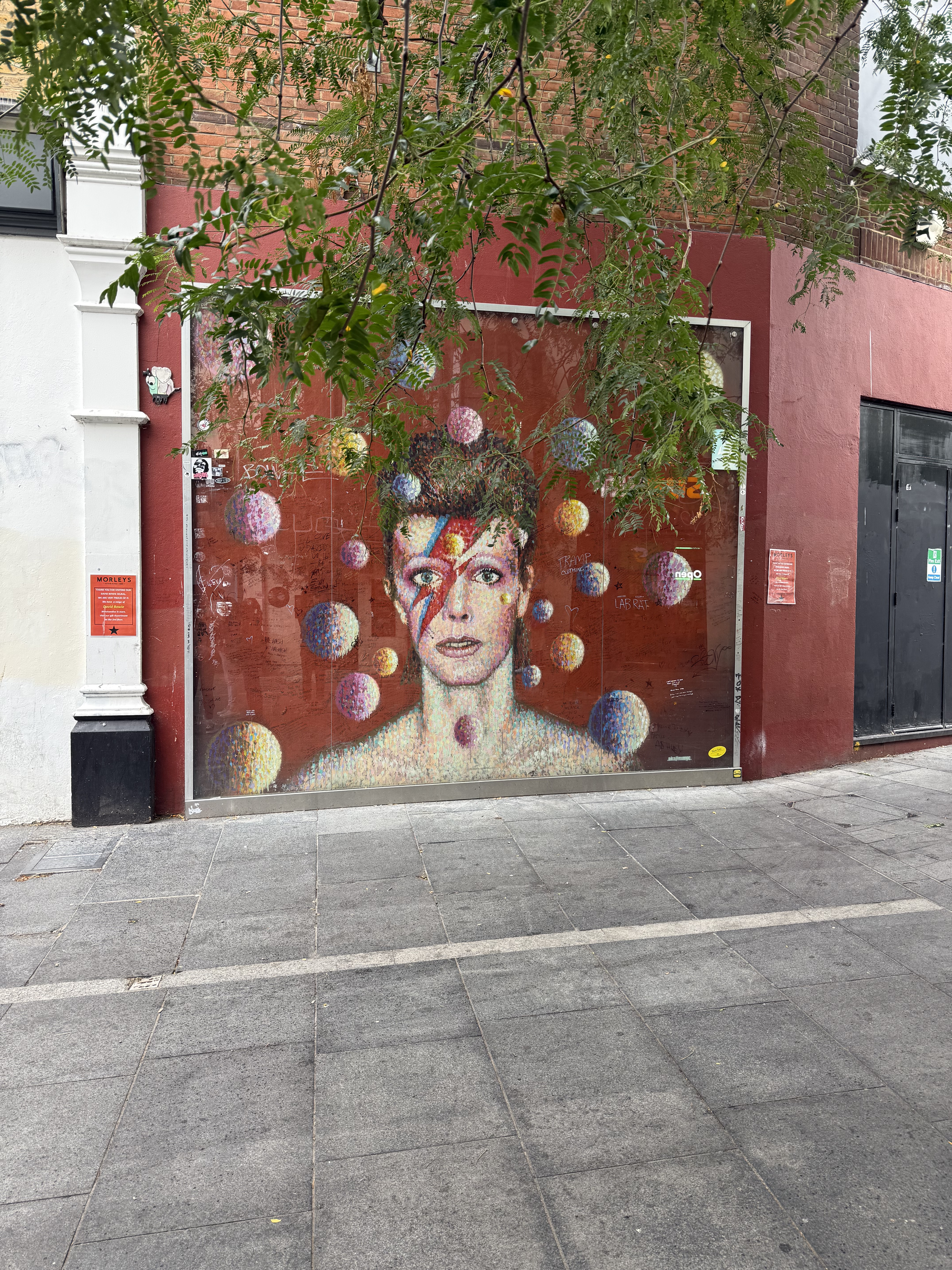 The Wall of David Bowie
