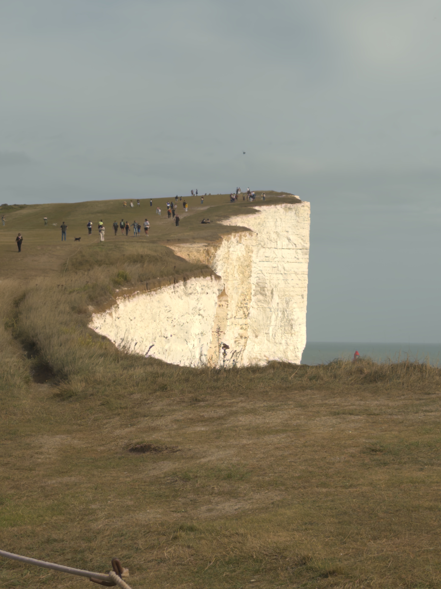 Dover