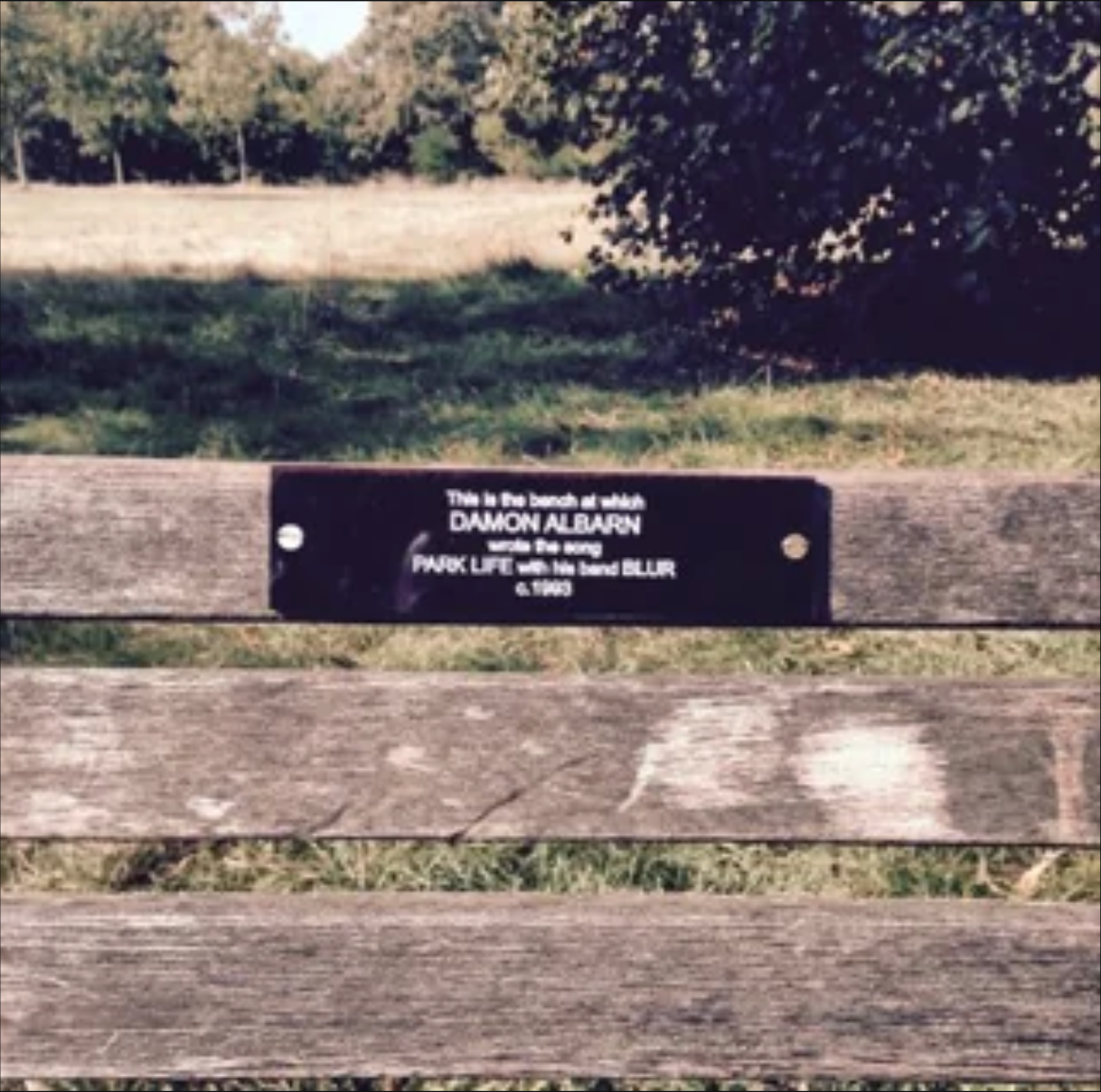 The bench