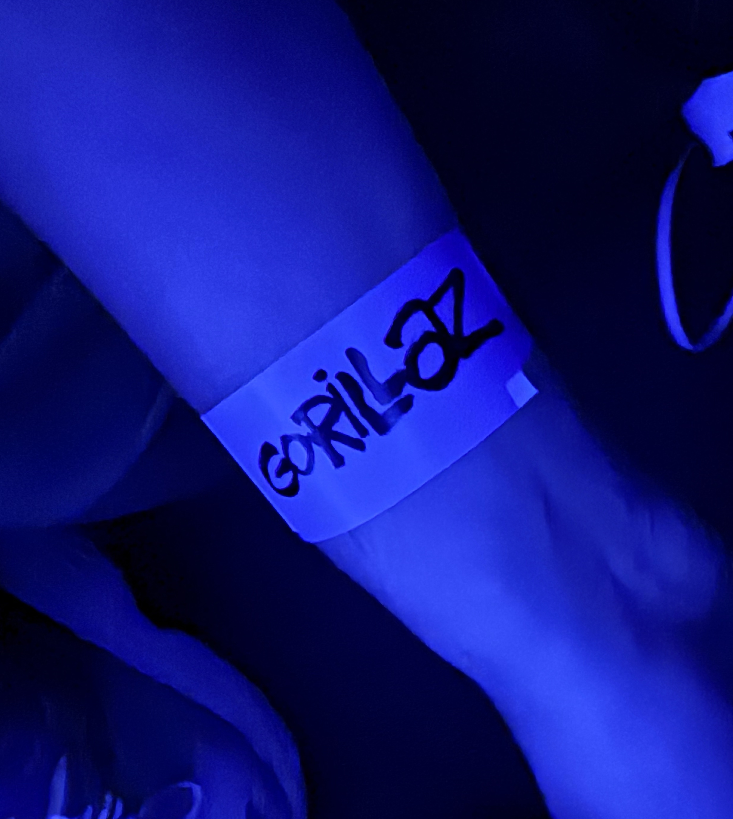 Plastic Beach